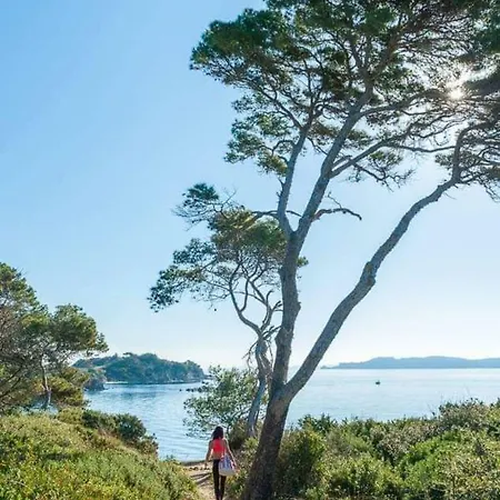 Studio 25m2 Avec 1 Canapé Convertible Grand Confort Pour 2 Personnes Presqu'île Des Giens *